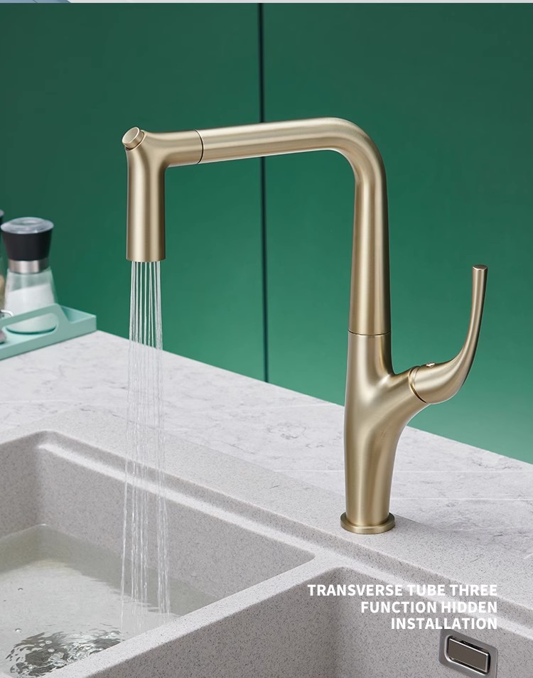 Brushed Gold ดึงออกก๊อกน้ําห้อ - Kitchen Appliances White บทวิจารณ์และราคา